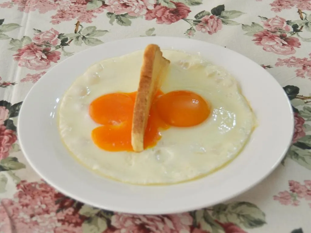A B C Bologna In B&B